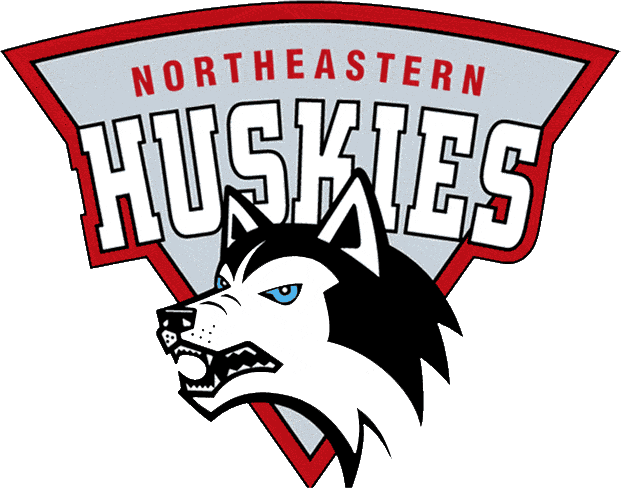 Northeastern Huskies 1992-2000 Primary Logo iron on transfers for fabric